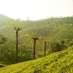 sustainable agriculture in india